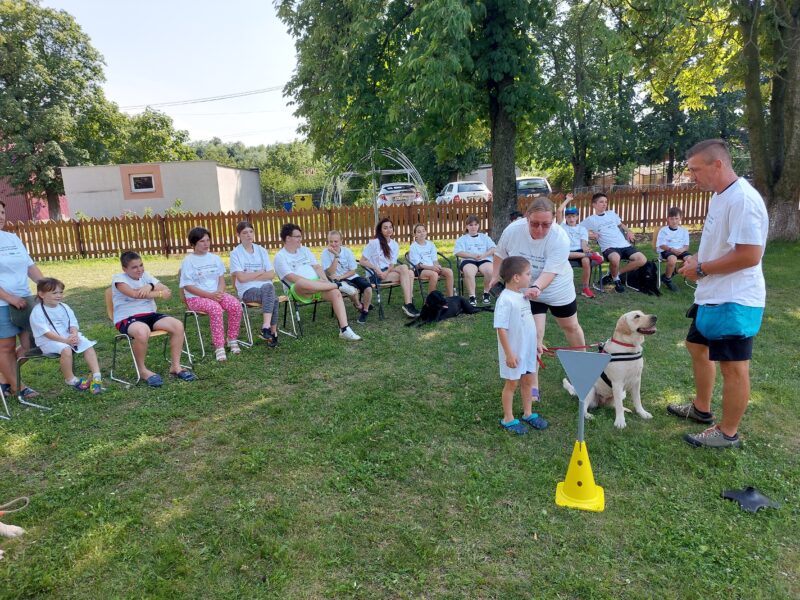 Prima tabără cu câini de terapie din România – o săptămână în care fiecare întâlnire a devenit o poveste