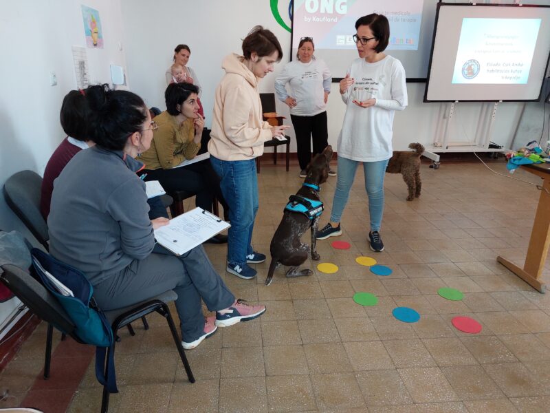 Formăm viitorii specialiști în terapia asistată de animale