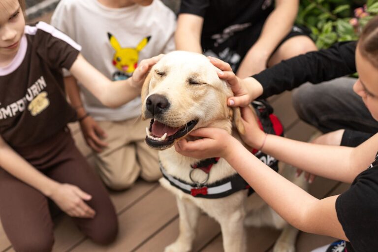 Dog4You