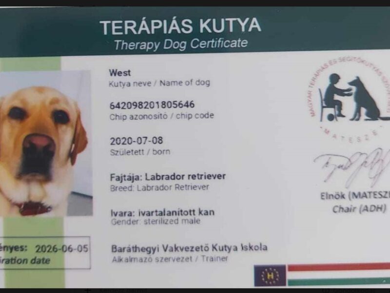 O certificare care a deschis noi orizonturi